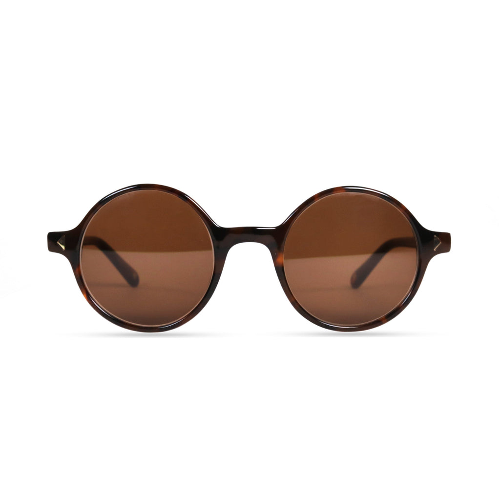 Galileo PRYZMEYEWEAR Dark Tortoise Brown 